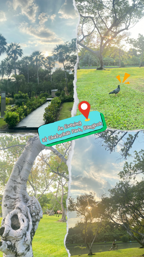An Evening at Chatuchak Park, Bangkok~