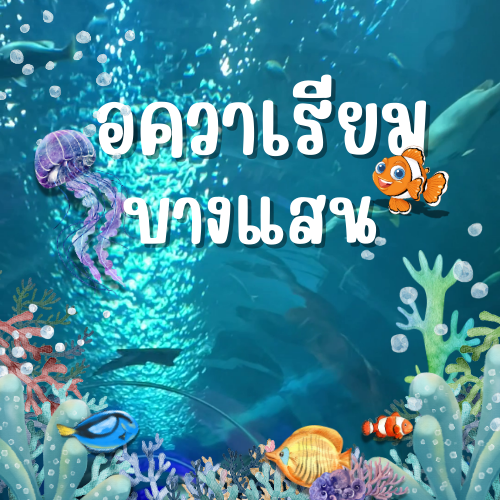 ชวนหลงใหล...ในโลกใต้ทะเลที่ "อควาเรียมบางแสน"